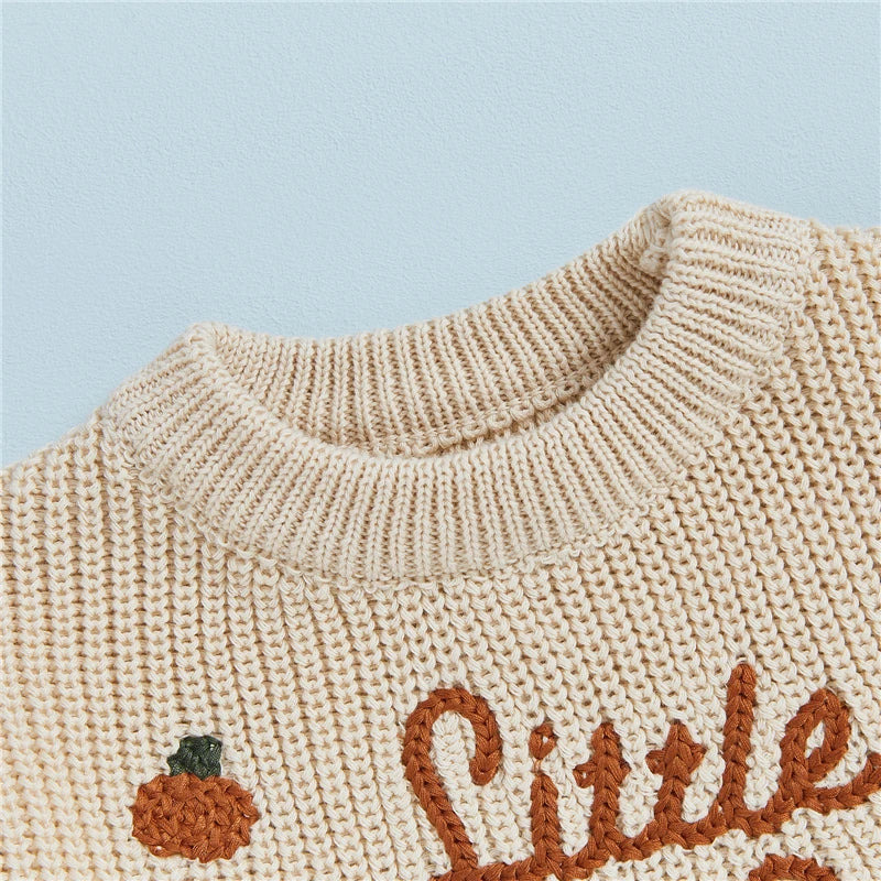 Little Pumpkin Embroidery Pullover