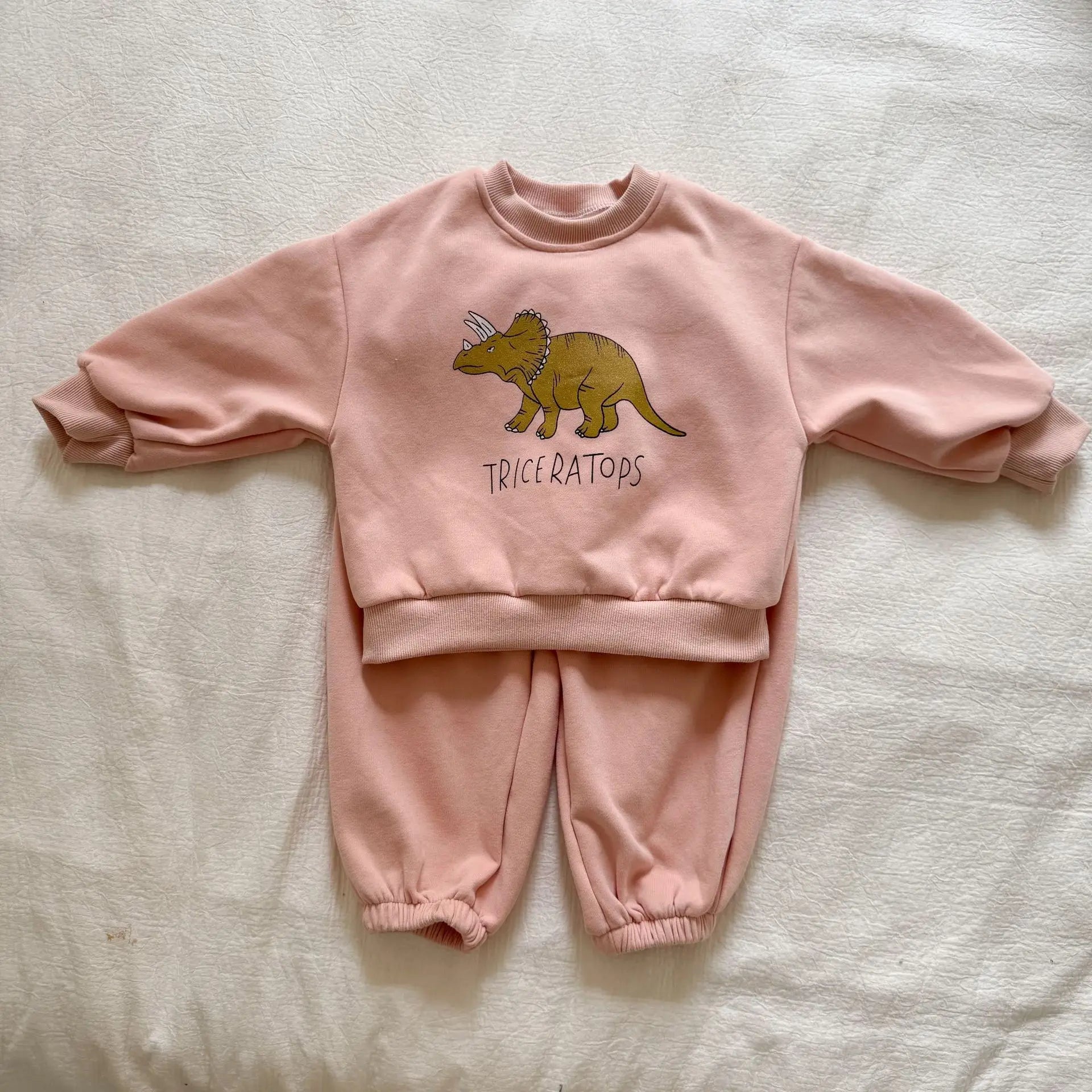 Dinosaur Tracksuit