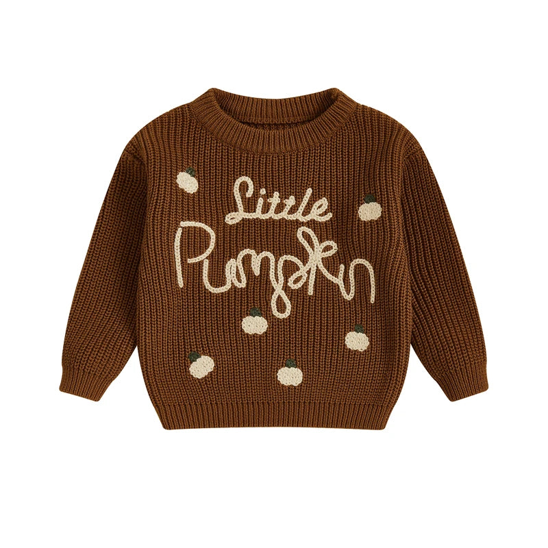 Little Pumpkin Embroidery Pullover