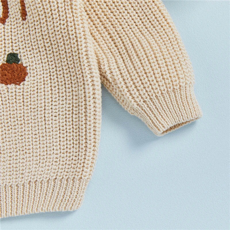 Little Pumpkin Embroidery Pullover