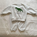 Dinosaur Tracksuit