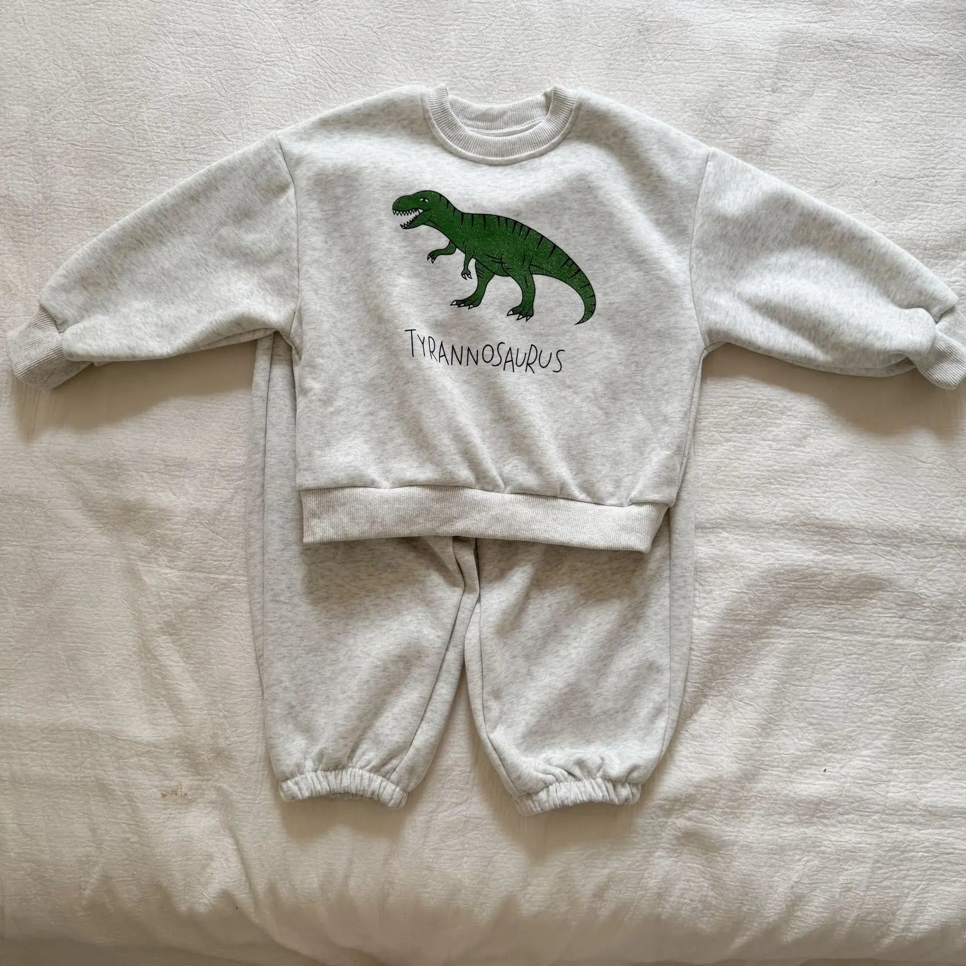 Dinosaur Tracksuit