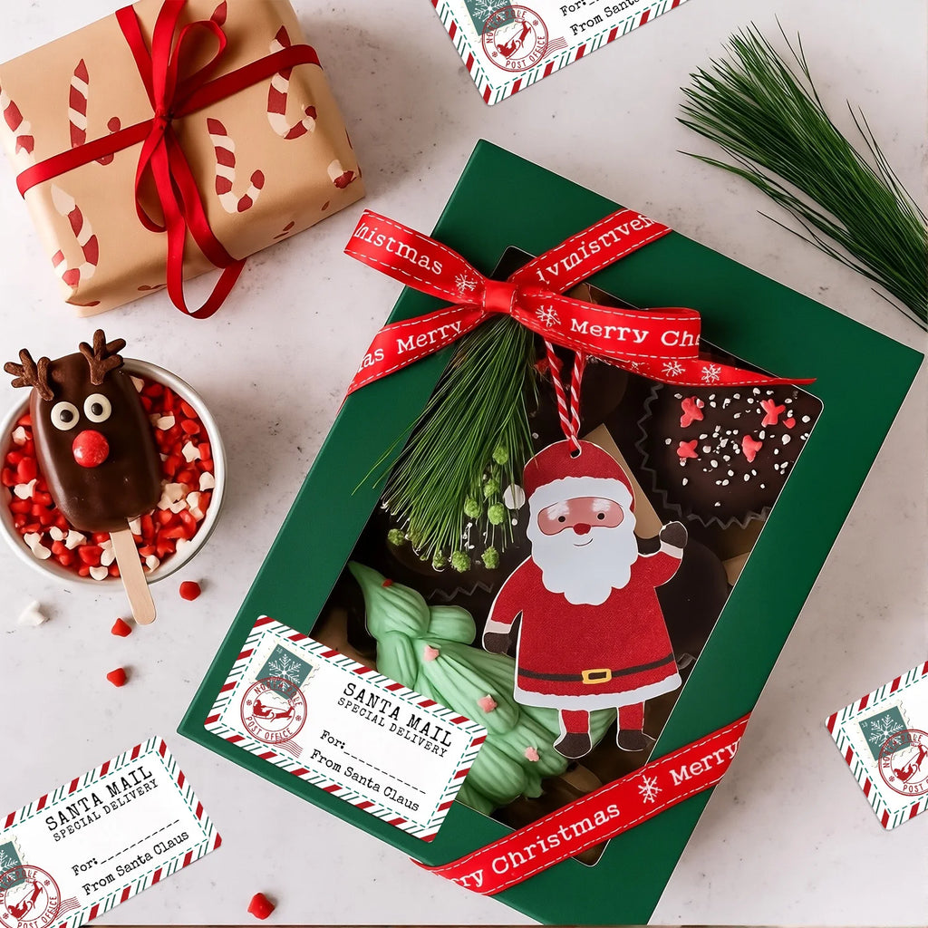 Santa Mail Special Delivery Stickers