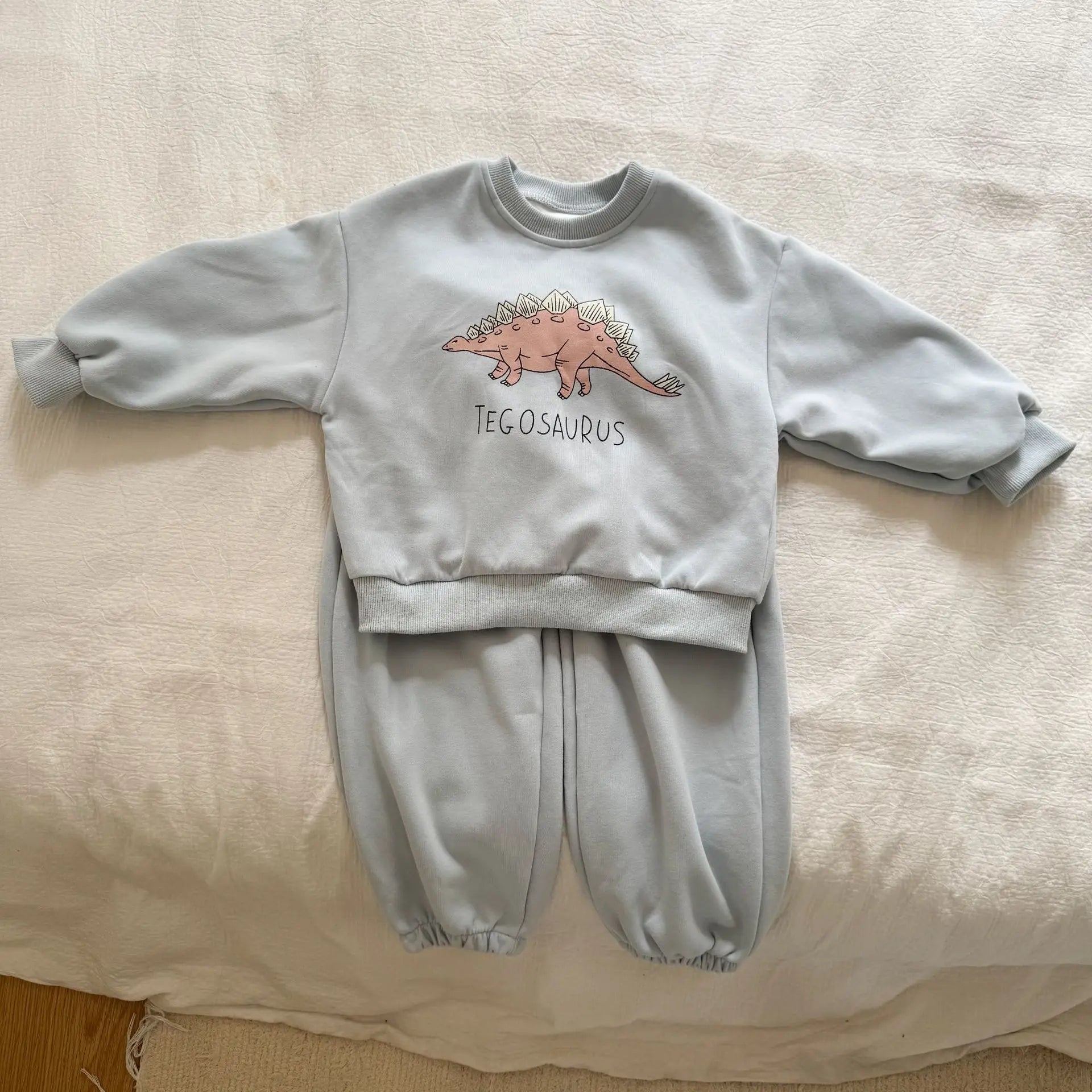 Dinosaur Tracksuit