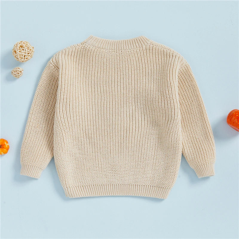 Little Pumpkin Embroidery Pullover