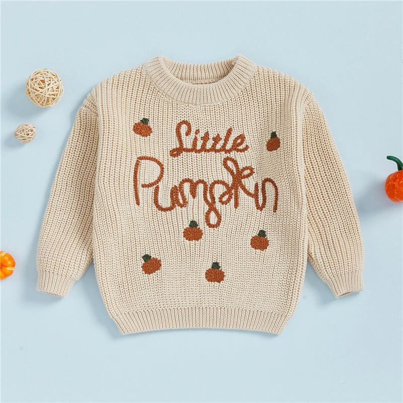 Little Pumpkin Embroidery Pullover