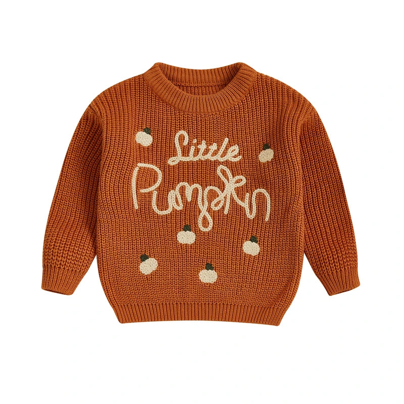 Little Pumpkin Embroidery Pullover