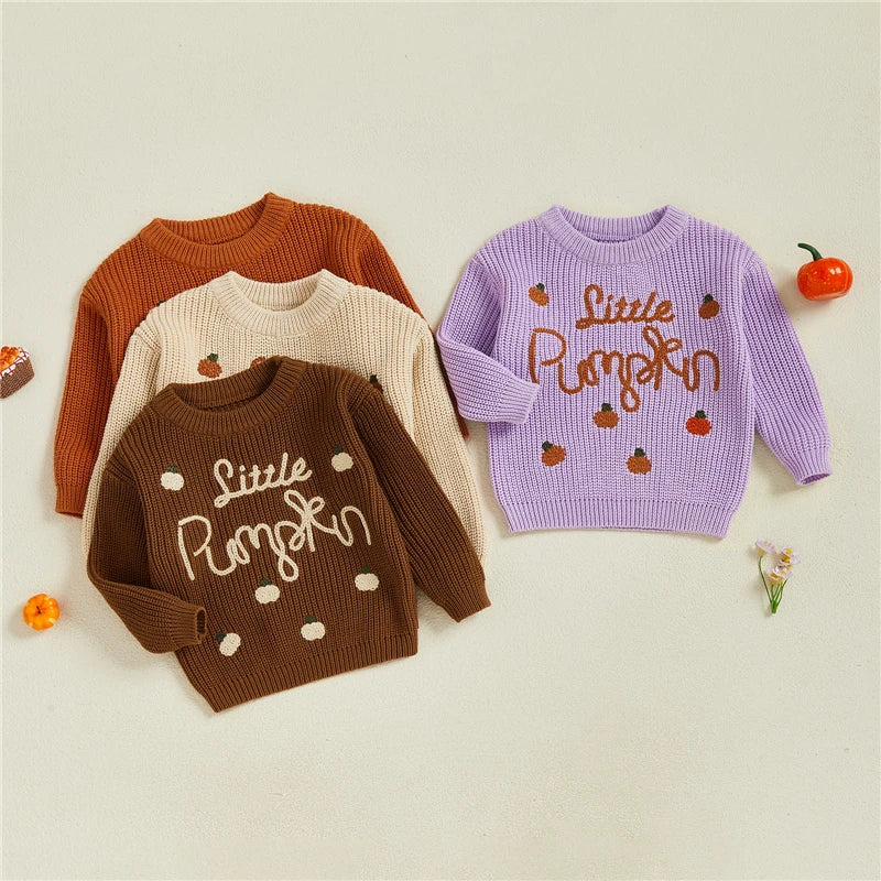 Little Pumpkin Embroidery Pullover