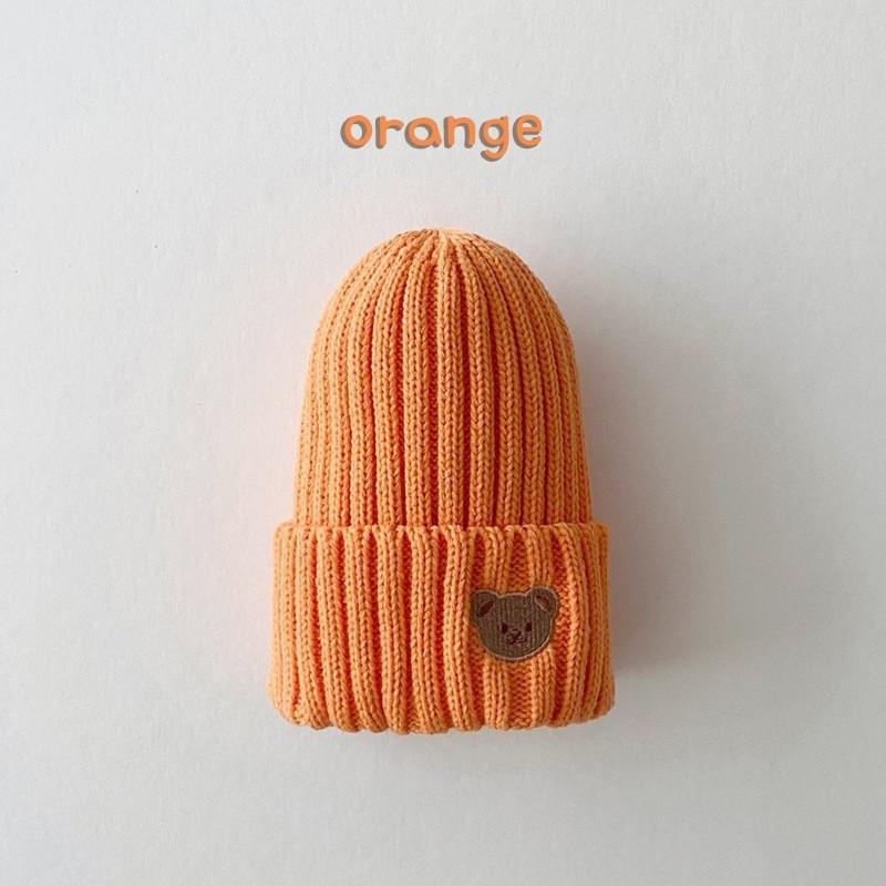 Teddy Bear Beanies